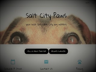 demo of salt city paws project